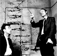James Watson y Francis Crick,