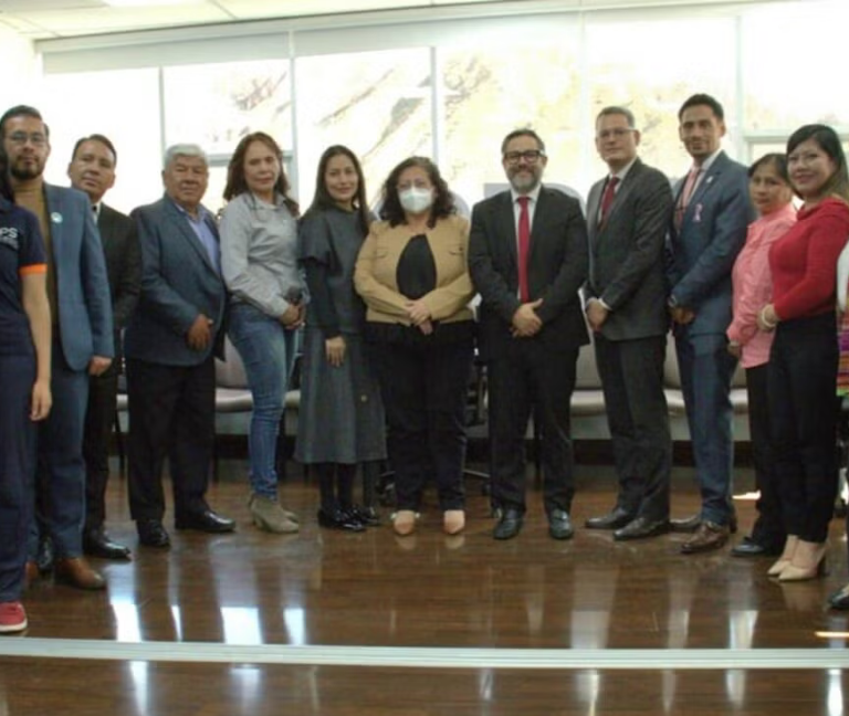 cáncer cervicouterino, Organización Panamericana de la Salud (OPS) 