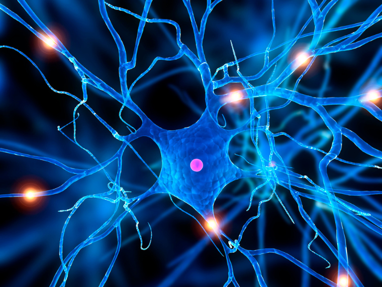 polineuropatía, neuropatía periférica, neuropatía diabética, deficiencia de vitamina B12, complejo B, diabetes mellitus, diabetes tipo 2, neuroinflamación