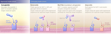 Aplicaciones clínicas emergentes de los medicamentos GLP-1