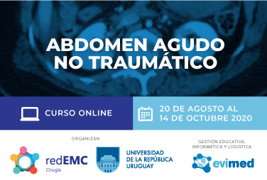 Abdomen agudo no traumático