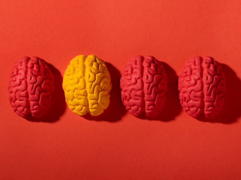 ¿Cómo ama el cerebro?