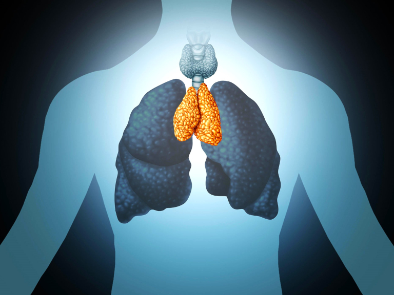 El redescubrimiento del timo