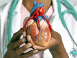 Bolivia fortalece su red contra enfermedades cardiovasculares