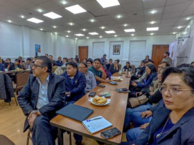 Plan Nacional de Salud, enfermedades crónicas, sistema sanitario.