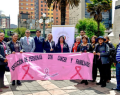cáncer, diagnóstico oportuno, campaña, minsal