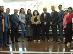 cáncer cervicouterino, Organización Panamericana de la Salud (OPS) 