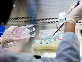 Trasplante de células madre embrionarias regenera la visión