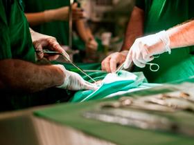 Prueba identifica riesgo de rechazo de trasplante de riñón