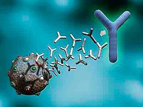 Anticuerpos animales pueden neutralizar al VIH