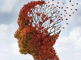 Contaminación ambiental  contribuye al deterioro cognitivo