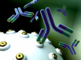 Biterapia de anticuerpos es útil contra el melanoma