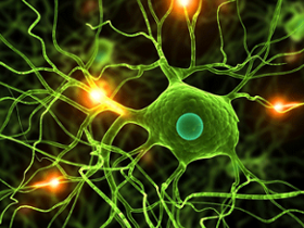 Mutaciones neuronales promueven la neurodegeneración