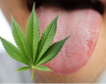 cáncer oral, trastorno por consumo de cannabis, consumo problemático de cannabis, consumo de cannabis, cannabis