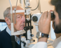 retinopatía diabética, demencia, diabetes, deterioro cognitivo