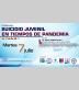 Conferencia suicidio juvenil en tiempos de pandemia