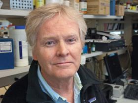 Dr. Michael Young